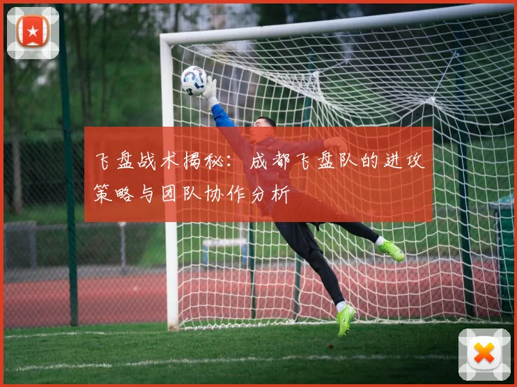 飞盘战术揭秘：成都飞盘队的进攻策略与团队协作分析